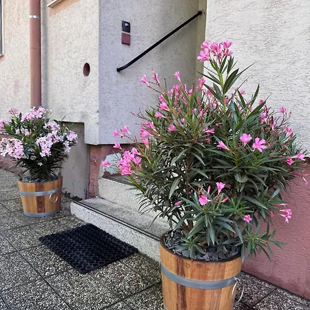 In Guntramsdorf, Oesterreich * Guntramsdorf