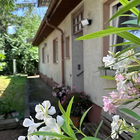 In Guntramsdorf, Oesterreich Guntramsdorf